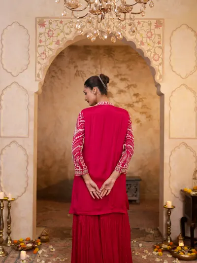 Rani Pink Heavy Sharara Suit-3