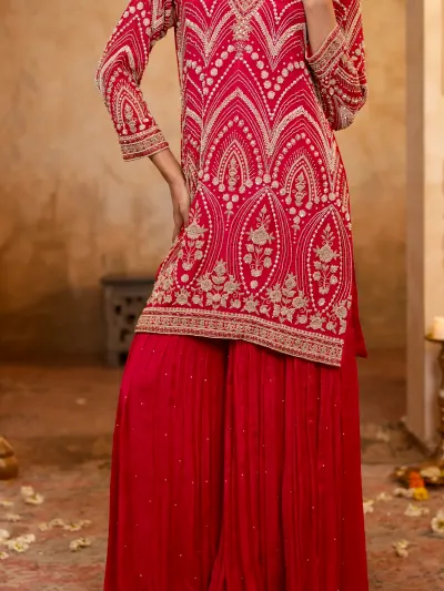 Rani Pink Heavy Sharara Suit-4