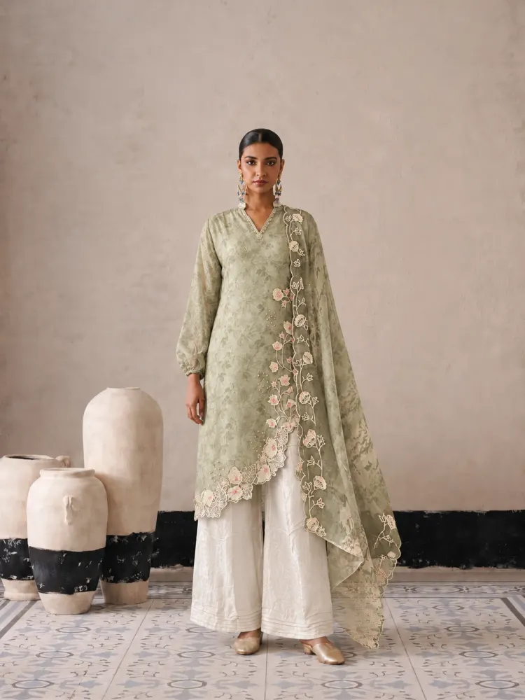 Sage Green Long Pakistani Suit-0